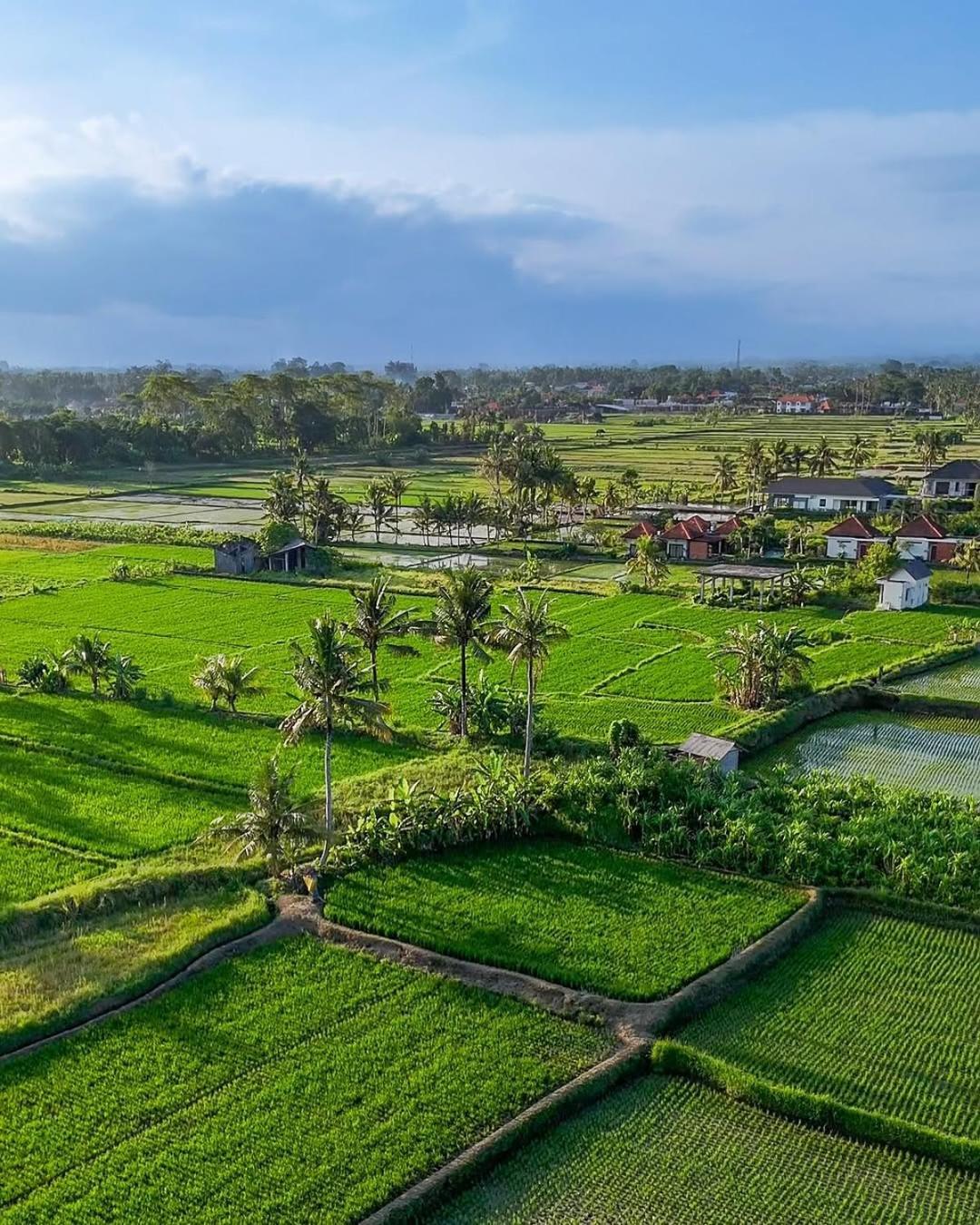 Ikada Villa By Pramana Villas Ubud Kültér fotó