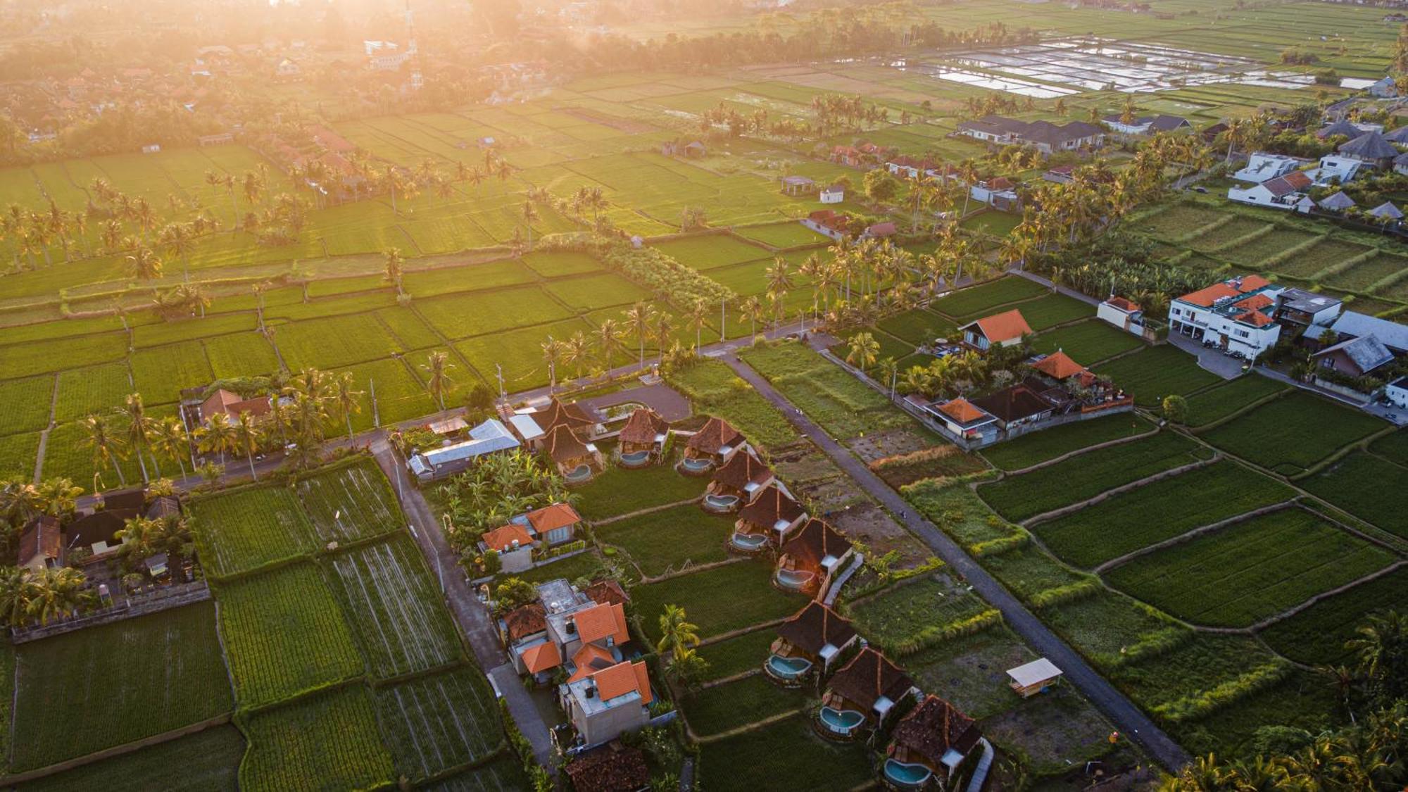 Ikada Villa By Pramana Villas Ubud Kültér fotó